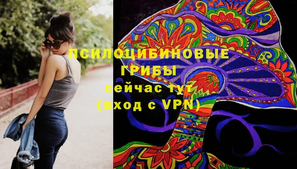 меф Алексин