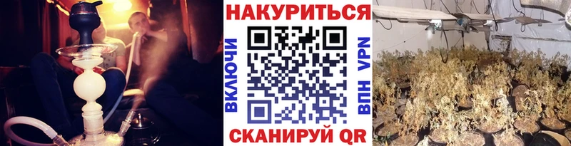 Бошки марихуана MAZAR  Купить  Курчалой 